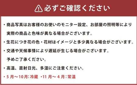 【白＋グリーン系】 お供え用 生花 （仏花） アレンジ Lサイズ 生け花 花 フラワー お供え 仏壇 日用品 雑貨 九州 熊本県 熊本市 常温 冷蔵