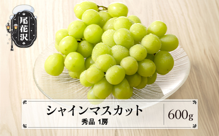 先行予約  シャインマスカット ぶどう 秀品 600g 1房 フルーツ 果物 2026年産 令和8年産 山形県産 送料無料 ※沖縄・離島への配送不可 ns-busmx600