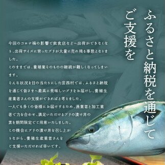 KYF119　海鮮「ブリの漬け丼の素」1食80g×5P＋「マグロの漬け丼の素」1食80g×5P《迷子のブリを食べて応援 養殖生産業者応援プロジェクト》応援 順次出荷中 惣菜 冷凍 保存食 小分け 高知