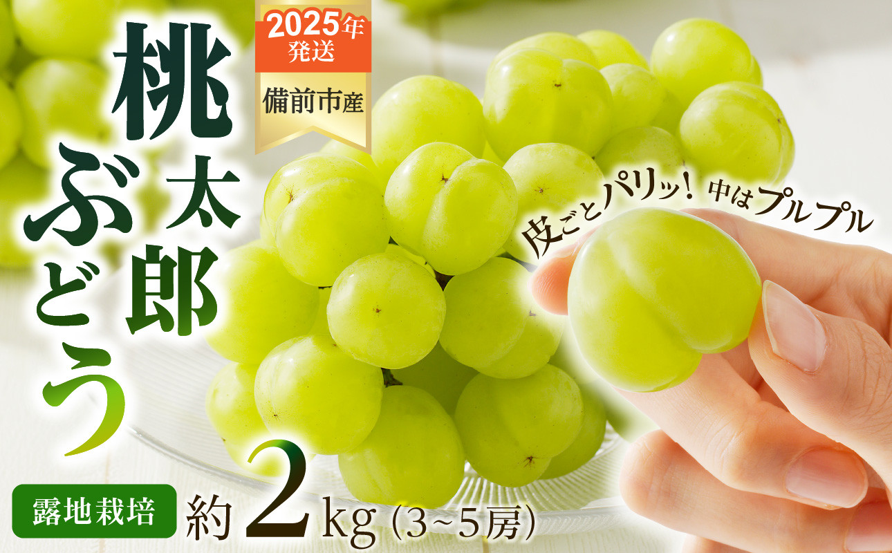 
            【2025年発送】びぜん葡萄「桃太郎ぶどう」（露地栽培）約2kg入  【 岡山県備前市産 桃太郎ぶどう 露地栽培 約2kg入 (3～5房目安) 樹上完熟 】
          