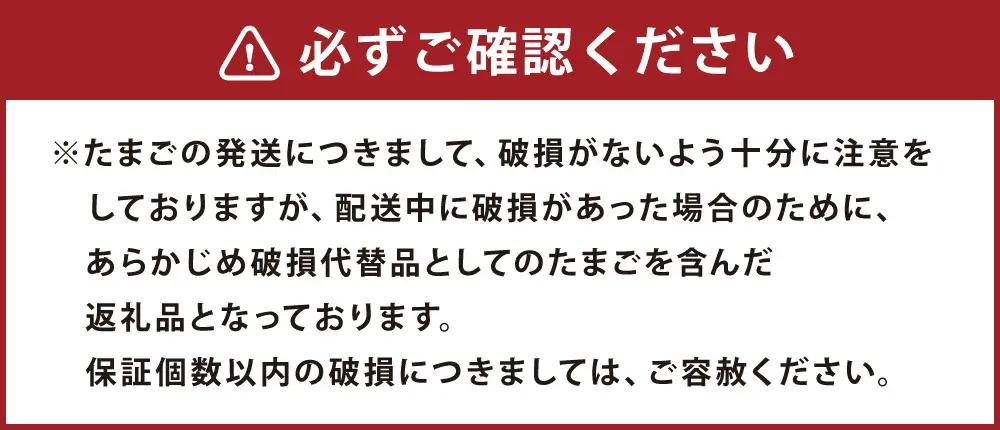 竹内養鶏場の白いたまご「米艶」と黄色いたまご「玉艶」セット【B27】
