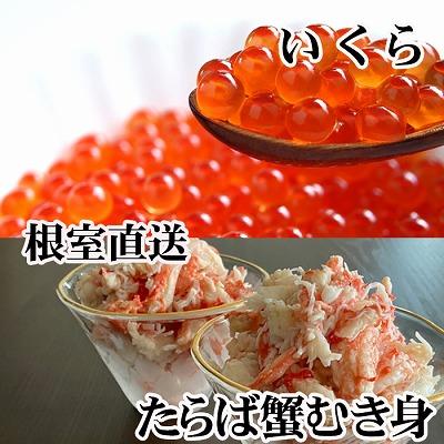 ふるさと納税 根室市 いくら醤油漬け100g・タラバガニむき身300g B-70050