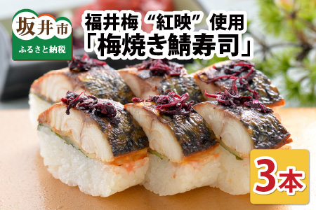 梅焼き鯖寿司 3本 鯖寿司 冷凍 [A-0534]