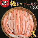 【ふるさと納税】 訳あり トロ サーモン ハラス 約3kg （約1kg×3） アトランティックサーモン サーモンハラス トロサーモン サーモン 鮭 さけ しゃけ 規格外 小分け 個別冷凍 冷凍 真空 真空パック 千葉県 銚子市 荒野商店