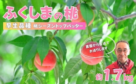 
            No.2897【先行予約　限定50箱】ふくしまのもも　早生品種 約1.7kg【2025年発送】
          