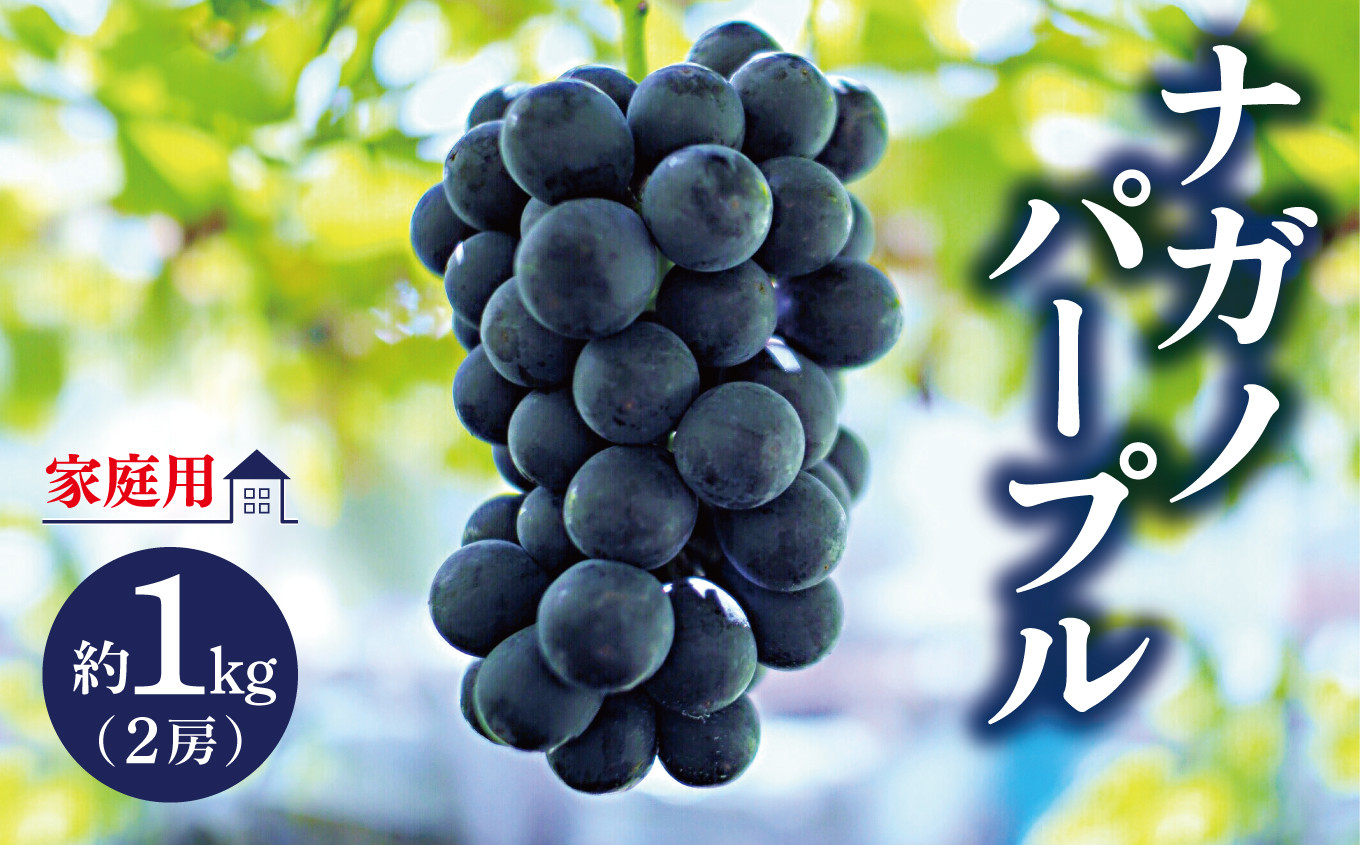 
            2025年 先行予約 ナガノパープル 約1kg 2房 家庭用 しまだ農園 |  ナガノパープル 家庭用 ぶどう 葡萄 皮ごと 種なし 高糖度 フルーツ 果物 特産品 オリジナル 品種 産地直送 千曲市 長野県 信州 先行予約
          