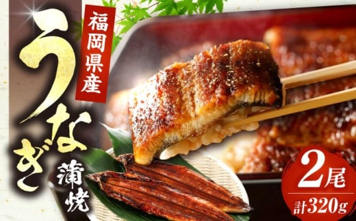 国産 うなぎ 蒲焼 大2尾 合計 320 g（1尾あたり 160g以上）《豊前市》【福岡養鰻】 国産 鰻 蒲焼き うなぎ ウナギ お祝い プレゼント 贈答 ギフト 国産うなぎ 国産鰻 人気 おすすめ 福岡産 土用の丑の日 贅沢 ご褒美 栄養 夏バテ [VAD002]