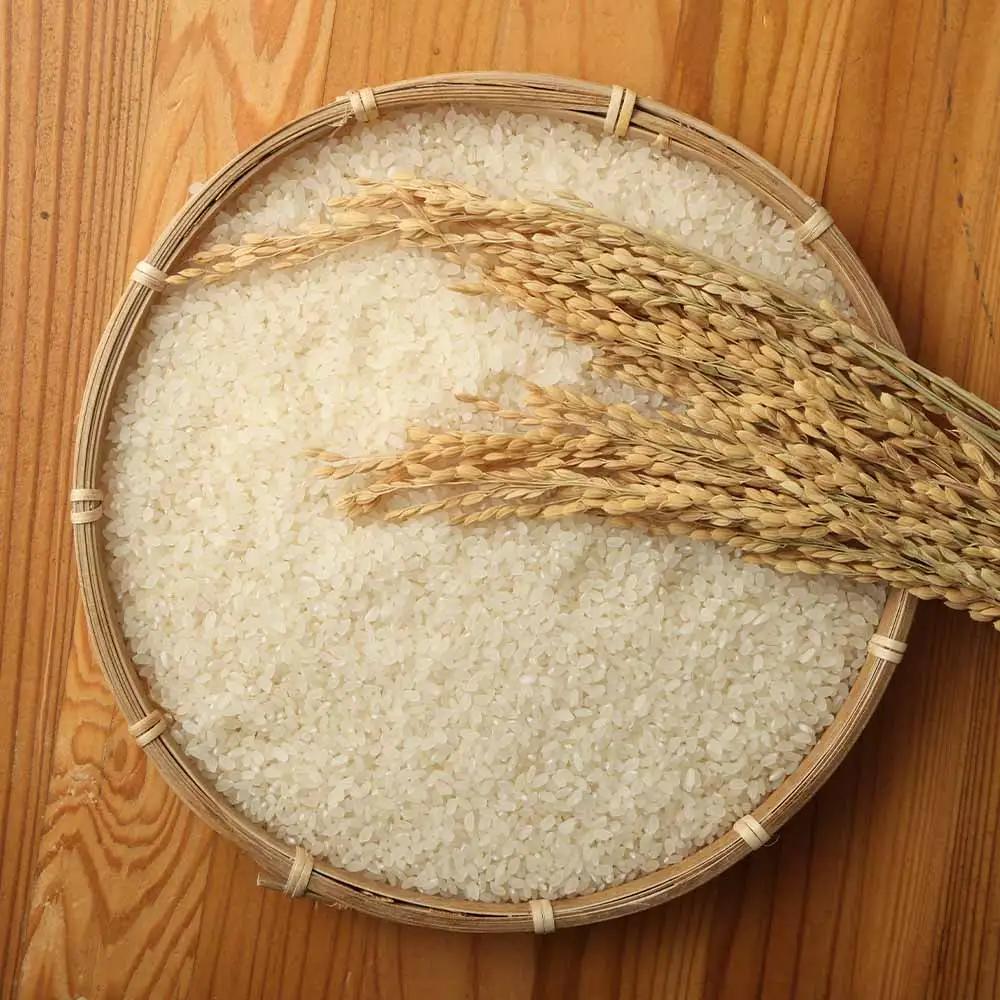 令和8年産 新米 コシヒカリ精米10kg 土佐清水市 【R01668】