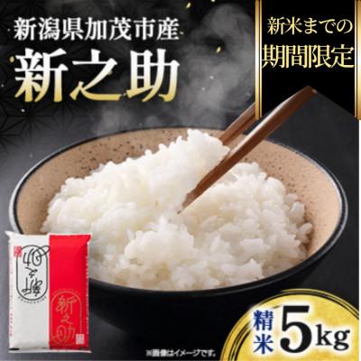 ふるさと納税 加茂市 【期間限定・個数限定】令和7年産　新之助　精米5kg　特別企画
