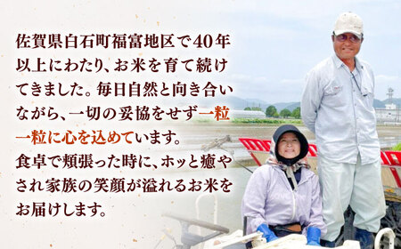 【佐賀県白石産】さがびより 計10kg（5kg×2袋）【ちわたのふぁーむ】[IDE002]