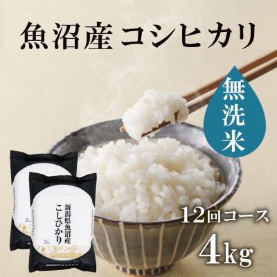 ふるさと納税 十日町市 【毎月定期便】魚沼産コシヒカリ　無洗米　精米4kg(2kg×2袋)全12回