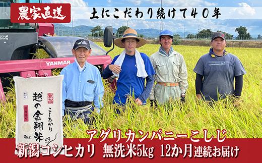 
J8-5MN05Z【12ヶ月連続お届け】新潟県長岡産コシヒカリ無洗米5kg（特別栽培米）
