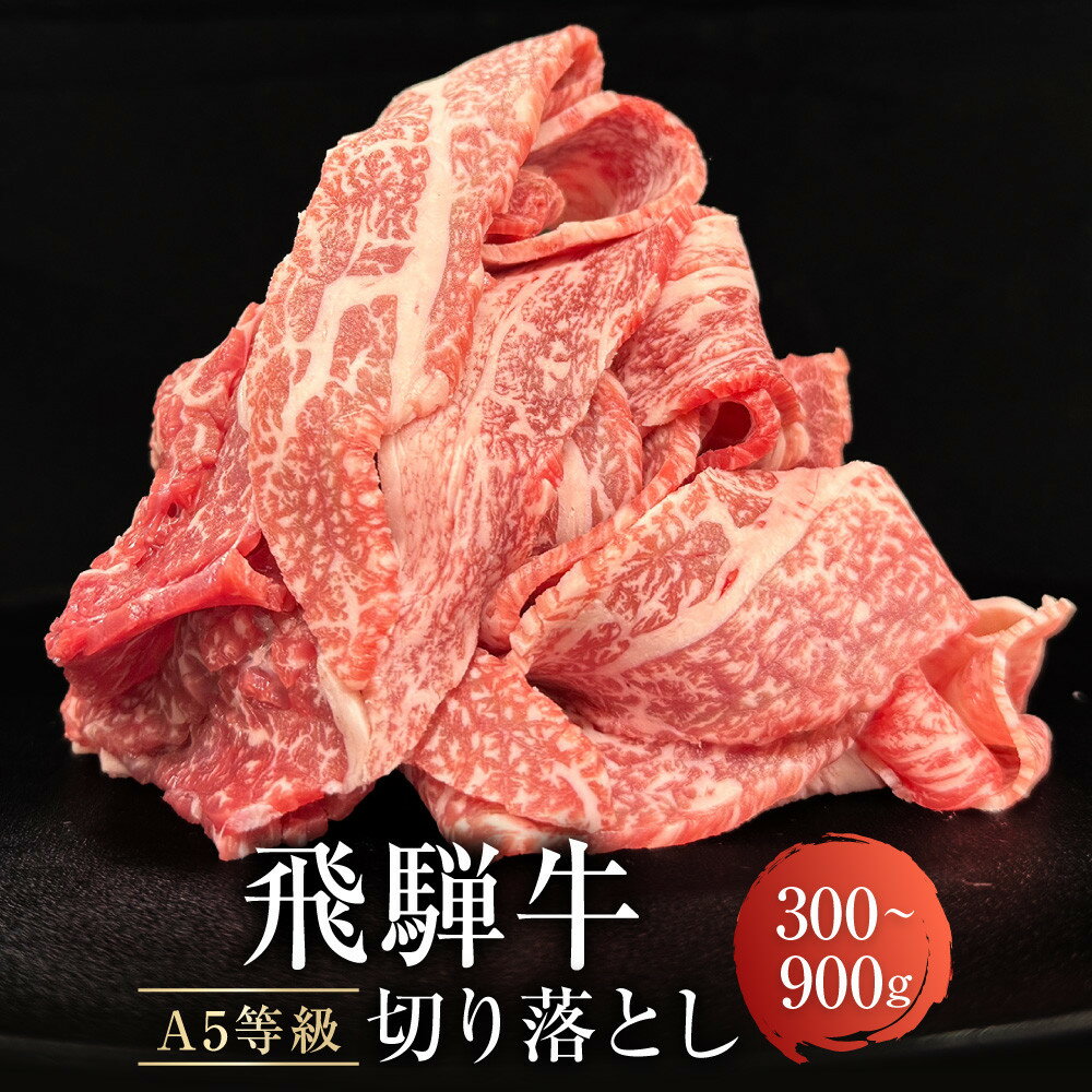 【ふるさと納税】飛騨牛 A5等級 切り落とし 300g | 小間切れ A5ランク A5 5等級 肉 黒毛和牛 ブランド牛 発送時期が選べる 飛騨高山 ながせ食品 FH001MP
