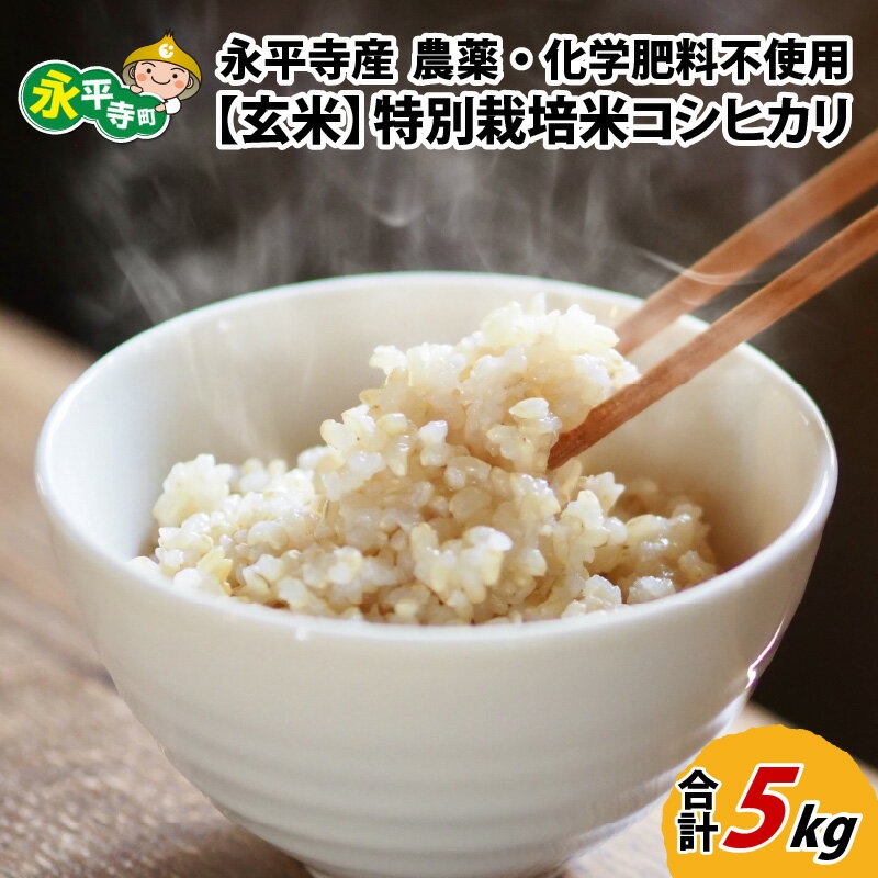 【ふるさと納税】【先行予約】【玄米】 令和7年度産 永平寺町産 農薬不使用・化学肥料不使用 特別栽培米 コシヒカリ 5kg【10月より順次発送開始予定】 / 無農薬 ご飯 ごはん こめ お試し
