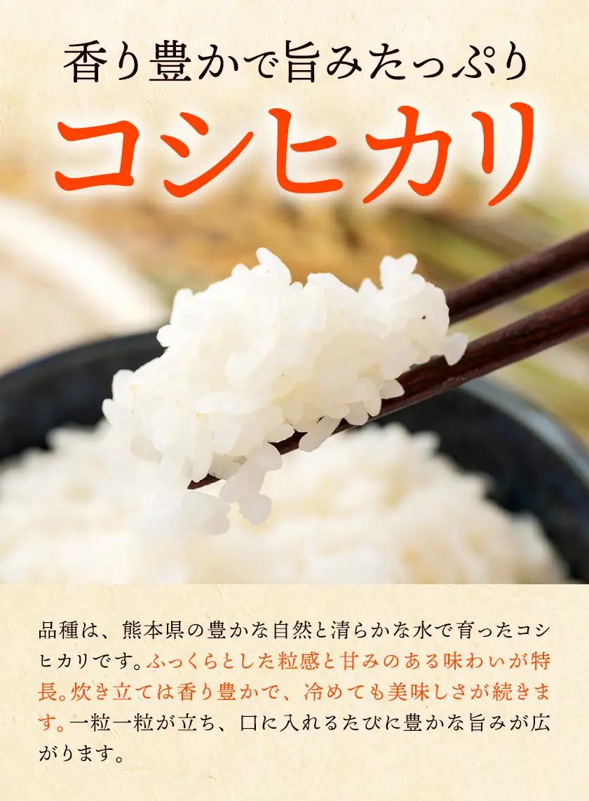 新米 令和8年産 超早期米 コシヒカリ こしひかり 10kg 田嶋ファーム《8月中旬-9月中旬出荷予定》