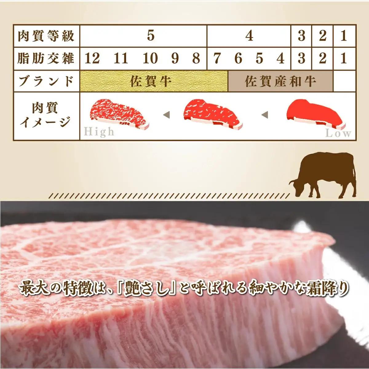 【佐賀牛】ハンバーグ 120g×10個 D-606