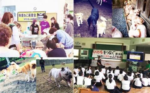 【返礼品なし】【犬猫等愛護活動 犬と猫と人にとって住みよい社会づくりを応援】宮崎県 高原町 特定非営利活動法人 咲桃虎(さくもんと)　TF3013-P00056