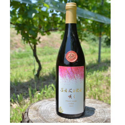 【ふるさと納税】【数量限定】佐倉産初のワイン!ピノ・ノワール2023　750ml×1本【配送不可地域：離島】【1637206】