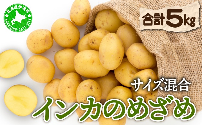 北海道 インカのめざめ じゃがいも 約5kg サイズ混合 ジャガイモ じゃが芋 馬鈴薯 イモ 芋 ポテト 伊達野菜 産地直送 ホクホク 濃厚 肉じゃが カレー フライドポテト 木須農園 送料無料