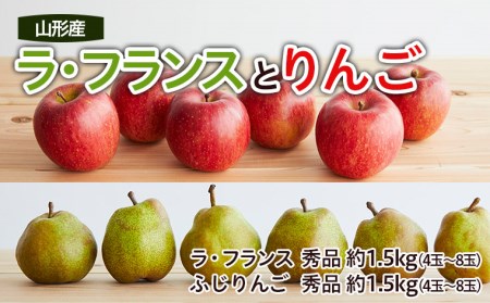 山形ラ・フランスとりんごのセット 秀品 約3kg 【令和7年産先行予約】FS22-131