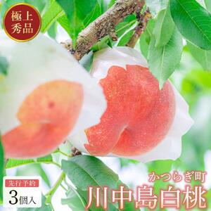 【秀品】川中島白桃 食べきりやすい3個入り 【2025年7月末頃から順次発送】こだわり 農家厳選 先行予約 モモ 【KG16】桃桃桃桃桃