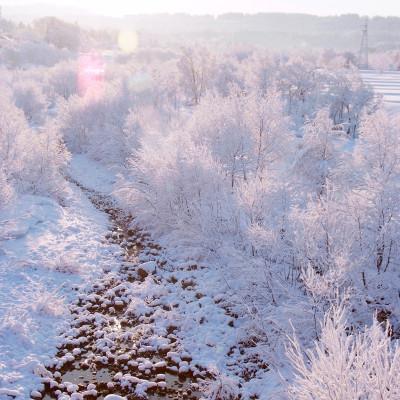 ふるさと納税 十日町市 【毎月定期便】中里地域限定!魚沼産コシヒカリ30kg(10kg×3袋)×3回 合計90kg全3回 |  | 02