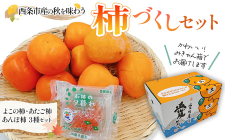 【先行予約】 西条市産の秋を味わう　柿づくしセット　2024年12月発送　あたご柿 よこの柿 あんぽ柿