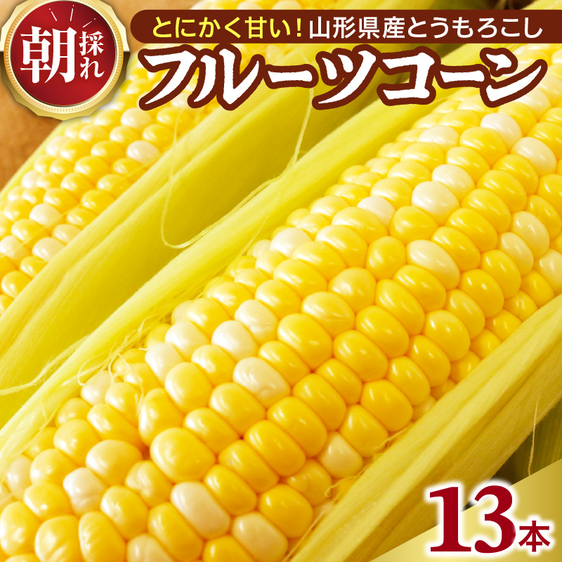 【令和8年産】とにかく甘い、朝採りとうもろこし「フルーツコーン」 13本 【かほくらし社】 １３本 (1本約400g～450g)