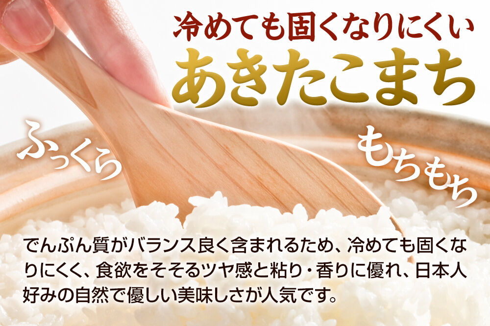 あきたこまち 無洗米 5kg（5kg×1袋）令和7年産 秋田食糧卸 [あきたこまち ブランド米 お米 白米 精米 無洗米 米どころ 秋田 秋田県産]|23_aso-030501_イメージ5