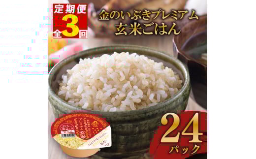 定期便 3回 玄米ごはんパック 120g 24個 玄米 米 お米 ごはん ご飯 こめ パックライス パックご飯 パックごはん ご飯パック ごはんパック パック ライス 備蓄 保存 非常 防災 電子 レンジ 温めるだけ レンチン 簡単 健康 ダイエット 美容 ヘルシー 24 24食 レトルト インスタント おいしい 人気 おすすめ 金のいぶき 大阪 松原