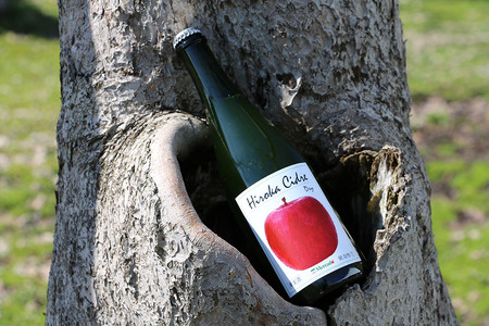 ヒロカシードル　ドライ　750ml×2本【お酒・りんご・シャンパン・スパーリングワイン・シードル】