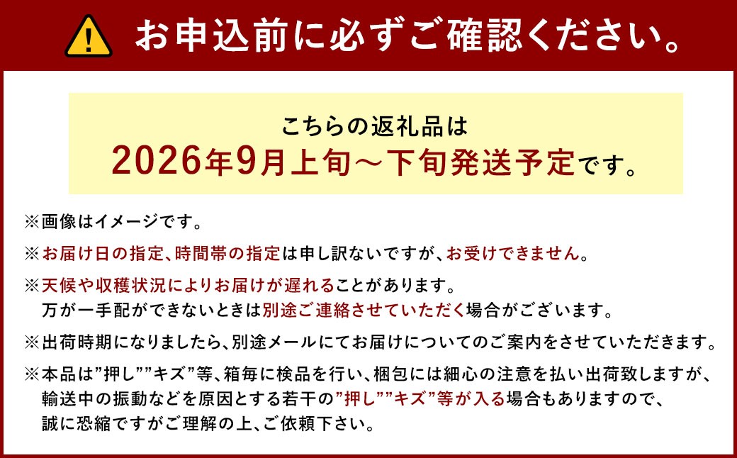 ぶどう 2026年 先行予約 シャイン マスカット 1房 700g以上
