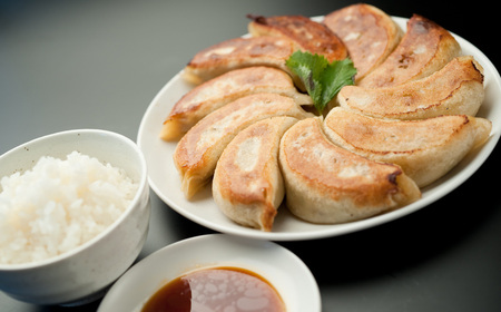 AR-8 凄汁ギョーザ 15個 チャーハン 約500g×3パック  冷凍 餃子 炒飯