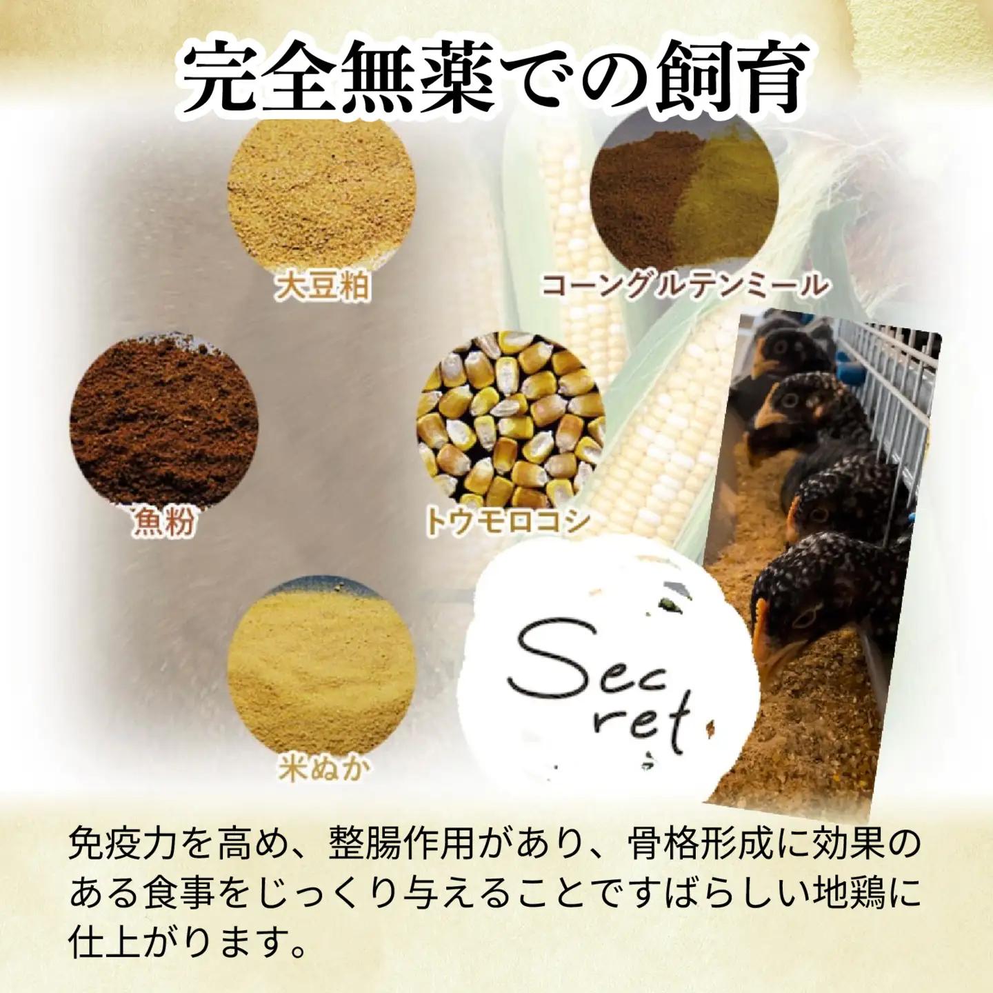【かしわの川中】超新鮮＆美味！すき焼フルセット 近江しゃも 約800g（2～3人前）[G004]/しゃも