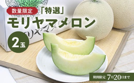 【数量限定】【7月～8月中旬お届け】「特選」モリヤマメロン　２玉