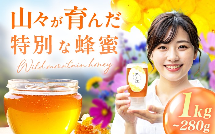 
            【選べる容量】野山みつ 1-2本（280g-1kg）　1万円 10000円 10,000円 10000 10,000 広川町 / 株式会社九州蜂の子本舗 [AFAI042]
          