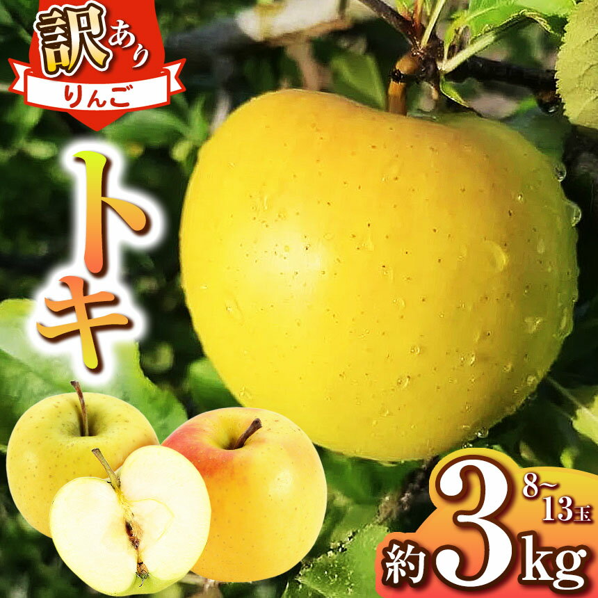 【ふるさと納税】【 令和7年度産 先行予約 】浅野農園 松川村産 訳あり トキ 3kg | リンゴ りんご 林檎 果物 くだもの フルーツ 果実 果汁トキ 訳あり 長野県 松川村 信州