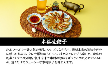 【定期便】 餃子 40個×全3回 | ぎょうざ 冷凍 北本フーズ