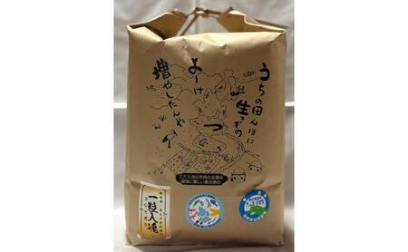 コシヒカリ 栽培期間中 白米5kg 精米 コシヒカリ