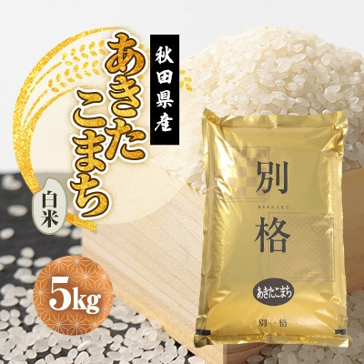 
                  ＜発送月固定定期便＞あきたこまち 白米 5kg 10月～12月発送全3回【4090557】
                