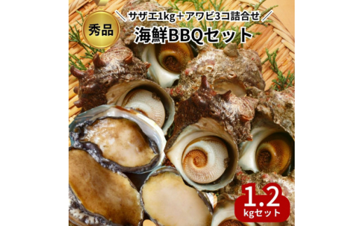 
秀品サザエ1kg+蝦夷アワビ3コの贅沢海鮮バーベキューセット詰め合わせ(活きたままCAS冷凍)【1405607】
