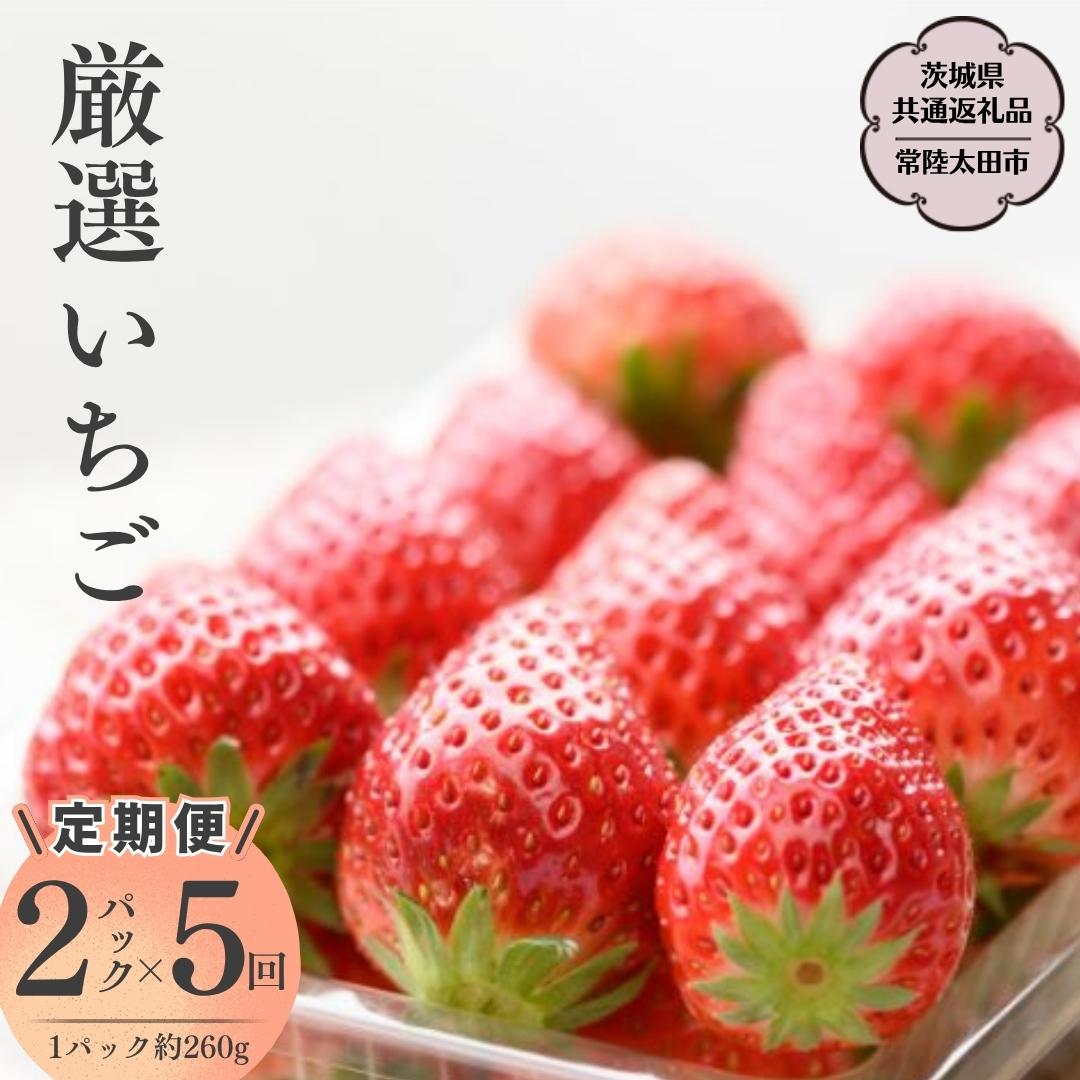 【2026年 先行予約】【定期 毎月お届けコース】厳選いちご 2パック×5回（茨城県共通返礼品／常陸太田市） 2026年1月発送開始 フルーツ 苺 イチゴ いちご 新鮮 朝採れ 茨城県 桧山FRUITFARM