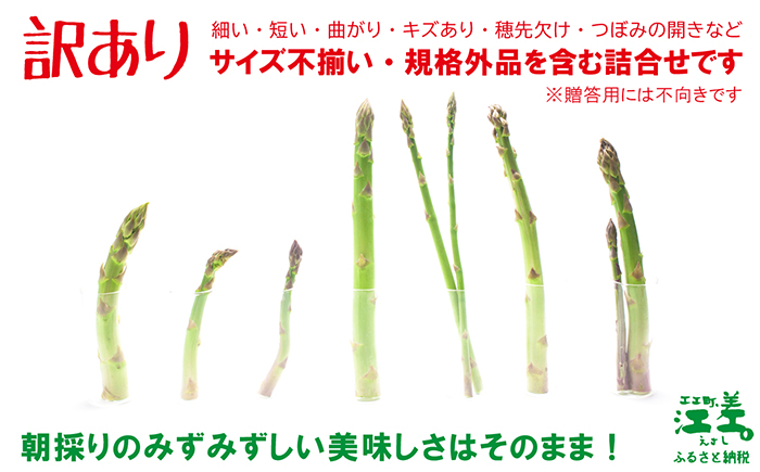 【春芽 順次発送中】《訳あり》北海道江差町産アスパラガス 1kg【サイズ不揃い・規格外MIX】無選別・規格外・ハネ物・B品　朝採り直送　見た目は良くなくても鮮度や味は正規品と変わりません！　グリーンア