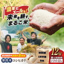 【ふるさと納税】すぐ届く【選べる定期便】無洗米 コシヒカリ 計12kg〜144kg（毎月3kg×4）滋賀県西浅井町産まるこ米　長浜市/ONE SLASH[AQCZ028] こしひかり コシヒカリ 無洗米 米 お米 定期便 送料無料 すぐ すぐ発送