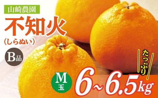 
                  【数量限定】コクのある甘みとさわやかな酸味 不知火 しらぬい B級品 6～6.5kg M玉 【3月末頃から順次発送】| 山崎農園の不知火（しらぬい）B品 みかん _b-488
                