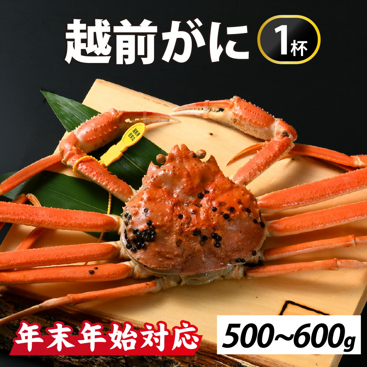 【ふるさと納税】【12月26日受付分まで年内配送】[先行予約] 冬の王者！茹で越前がに500-600g　1杯【年末年始対応】 [H-065038] / かに 蟹 ずわい ズワイ 茹でがに 送料無料