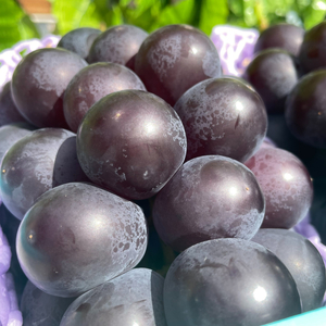 【2026年発送★先行予約】山梨県笛吹市産　旬の採れたてピオーネ　約1kg　2～3房 105-014-26y