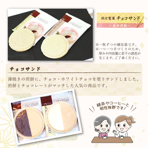 チョコサンド 8枚入 ／ 南部煎餅 贈答用 贈り物 プレゼント せんべい 手作り お菓子 和菓子 おやつ お茶菓子 チョコ ホワイトチョコ 個包装 お土産 手土産 熨斗 のし 御中元 御歳暮 お中元 