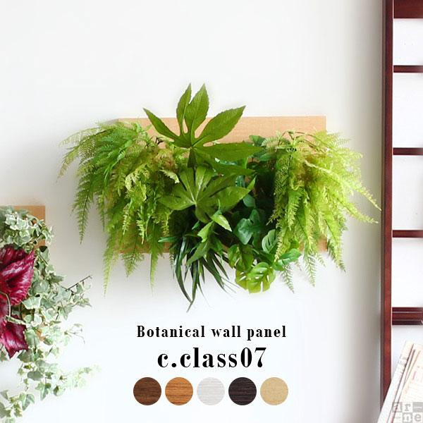 
Botanical c.class 07
