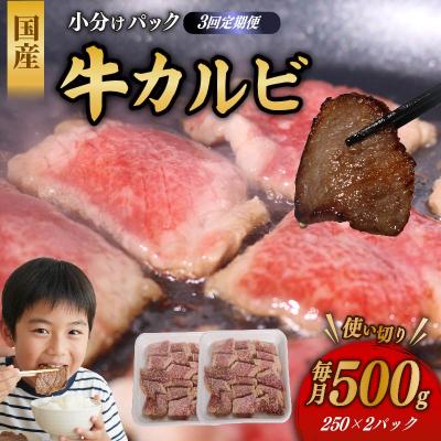 ふるさと納税 室戸市 【3回定期便】 国産 牛カルビ 500g 牛肉 焼肉